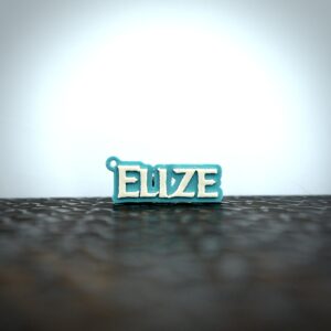 frozen sleutelhanger